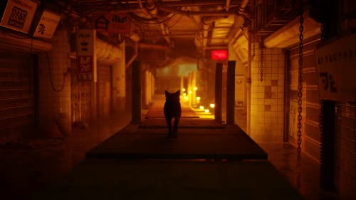 Stray for PlayStation 5