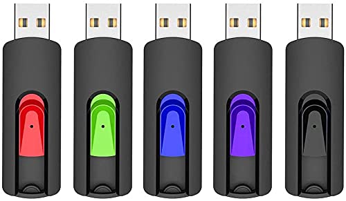 RAOYI 5 Pack 64GB USB Flash Drive, USB 2.0 Memory Stick Thumb Drives Jump Drive Pen Drive for PC Laptop Computer - 64G Multipack