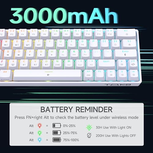 DIERYA T63 60% Wireless Mechanical Gaming Keyboard | Bluetooth/2.4G/Wired Keyboard | RGB Backlit Compact 63 Keys Mini Office Keyboard | with Blue Switch | for Windows Laptop PC Gamer Typist-White