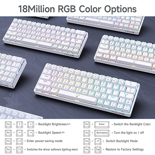 DIERYA T63 60% Wireless Mechanical Gaming Keyboard | Bluetooth/2.4G/Wired Keyboard | RGB Backlit Compact 63 Keys Mini Office Keyboard | with Blue Switch | for Windows Laptop PC Gamer Typist-White