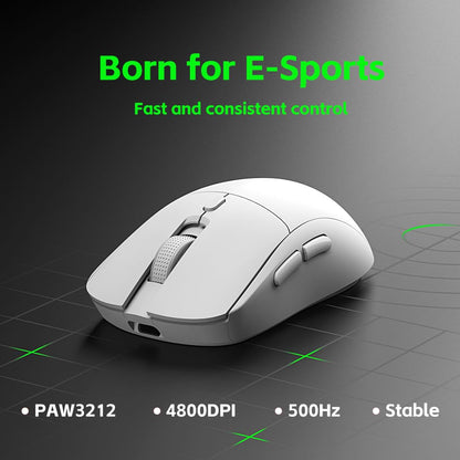 LORERAN Wireless Gaming Mouse, 3 Modes 4800 DPI Bluetooth/2.4G/Wired Mouse with Type-C Rchargeable Nano Receiver 6 DPI Levels, 6 Macro Buttons, RGB LED Backlit & Pro Software/Drive for PC/Mac/Laptop - amzGamess
