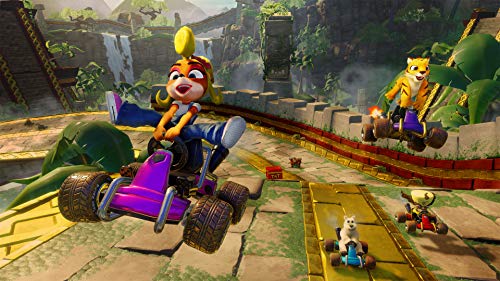 Crash Team Racing - Nitro Fueled - Xbox One - amzGamess