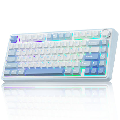 AULA F75 75% Wireless Mechanical Keyboard,Gasket Hot Swappable Custom Keyboard,Pre-lubed Greywood Switch RGB Backlit Gaming Keyboard,2.4GHz/Type-C/Bluetooth Keyboard (Salt White Blue)